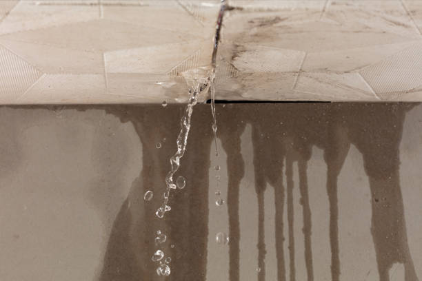 Professional Structural Drying technician working in Baileyville, ME